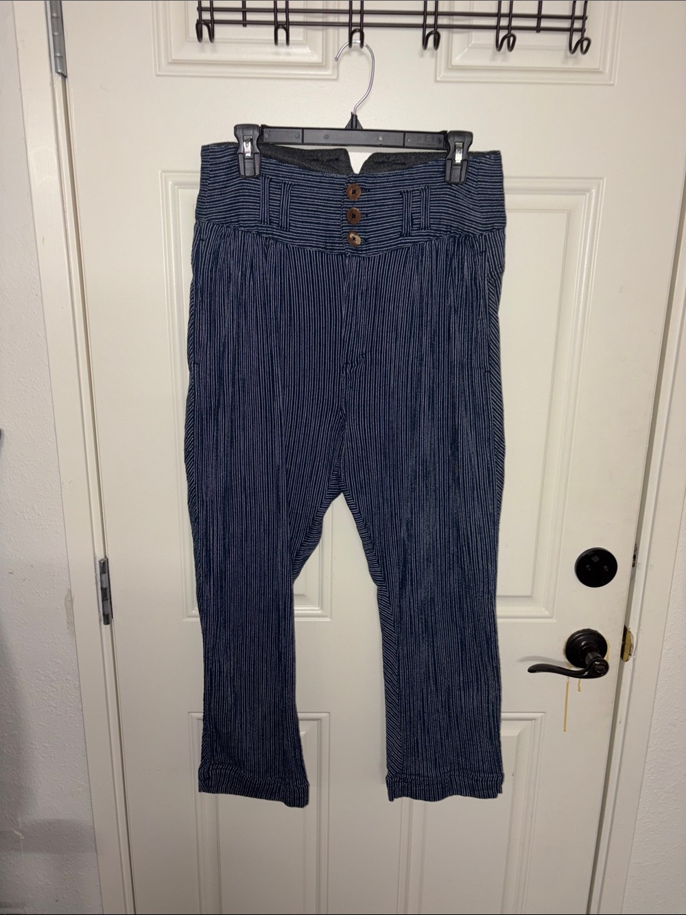 Free People Navy and White Pinstripe Pants